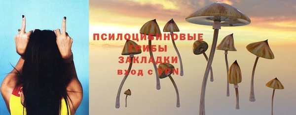 тгк Белокуриха