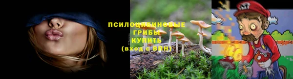 дмт Баксан