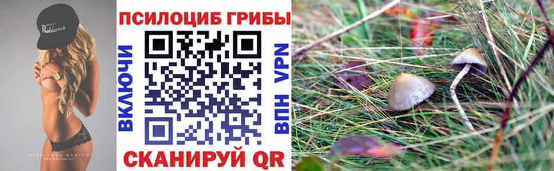наркота  Маркс  Галлюциногенные грибы прущие грибы 